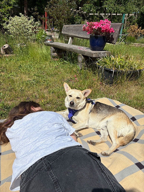 berry gluecklich hund aus dem tierheim bad belzig