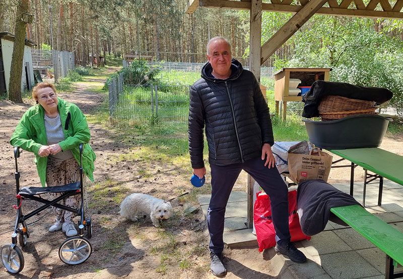 mirenda hund aus dem tierheim bad belzig