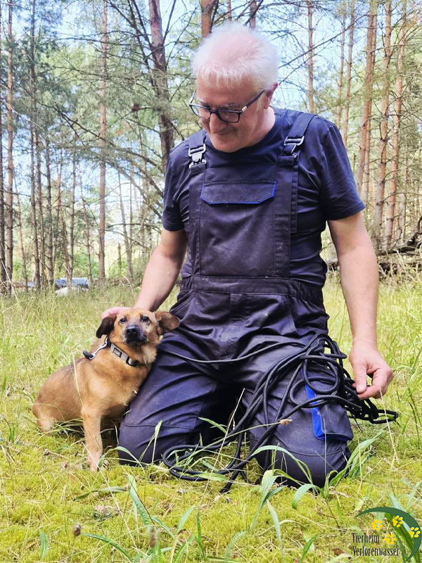 hund henry aus tierheim