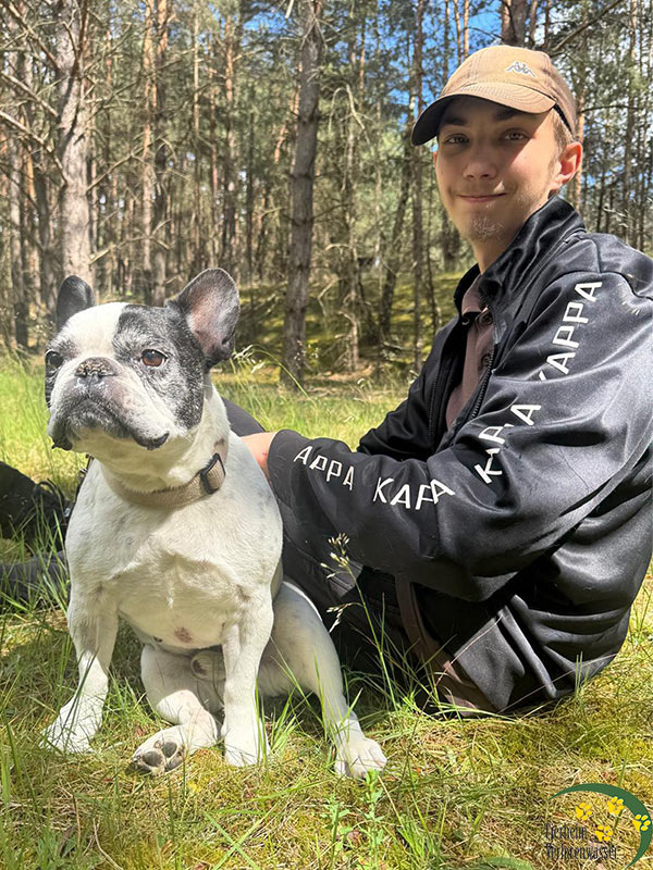 franzoesische bulldogge im tierheim