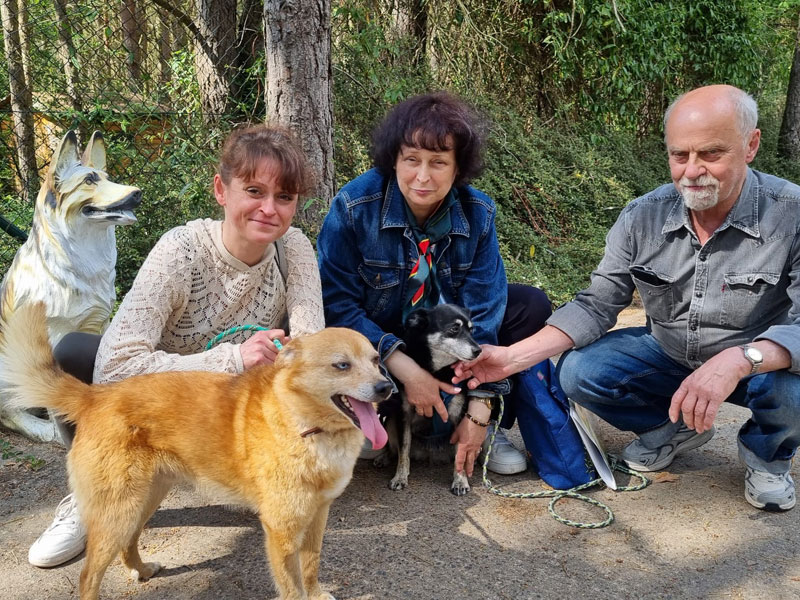 Jozef, Tierheim Verlorenwasser, Bad Belzig