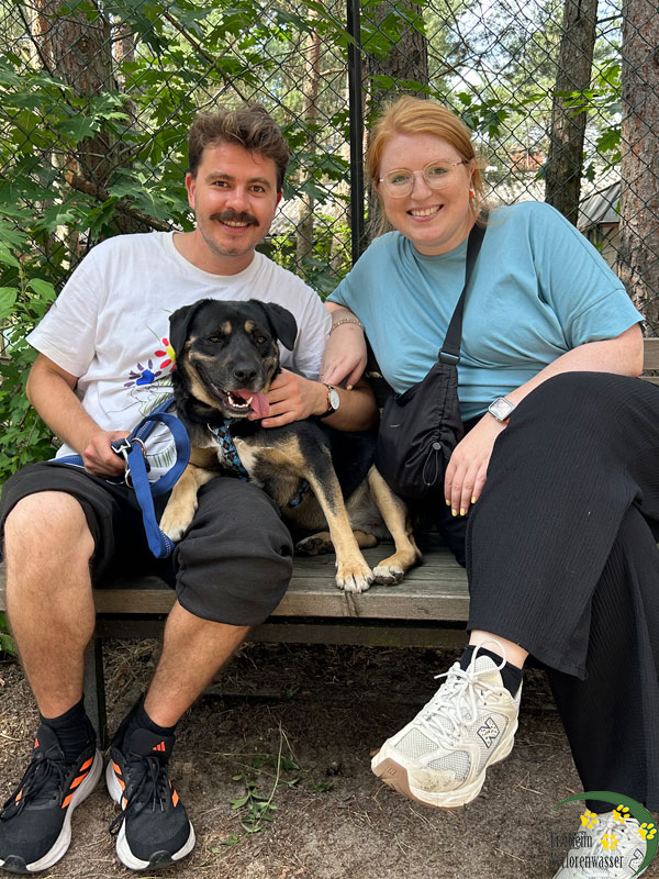 benno hund aus dem tierheim 1