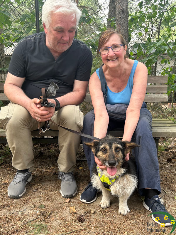 mia hund aus tierheim brandenburg 1