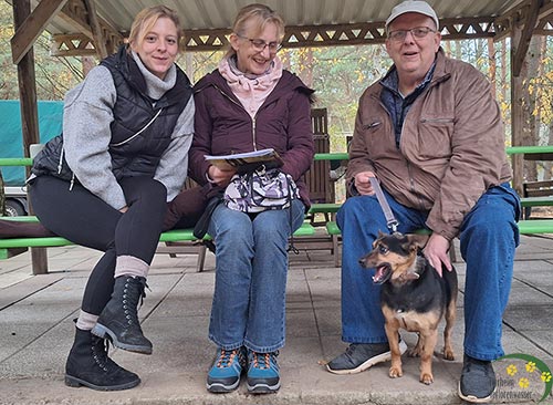 alf, Hund aus dem Tierheim