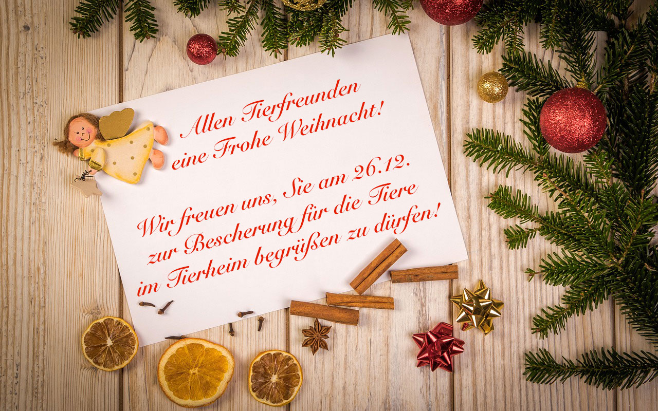 Weihnachtsgruss Tierheim