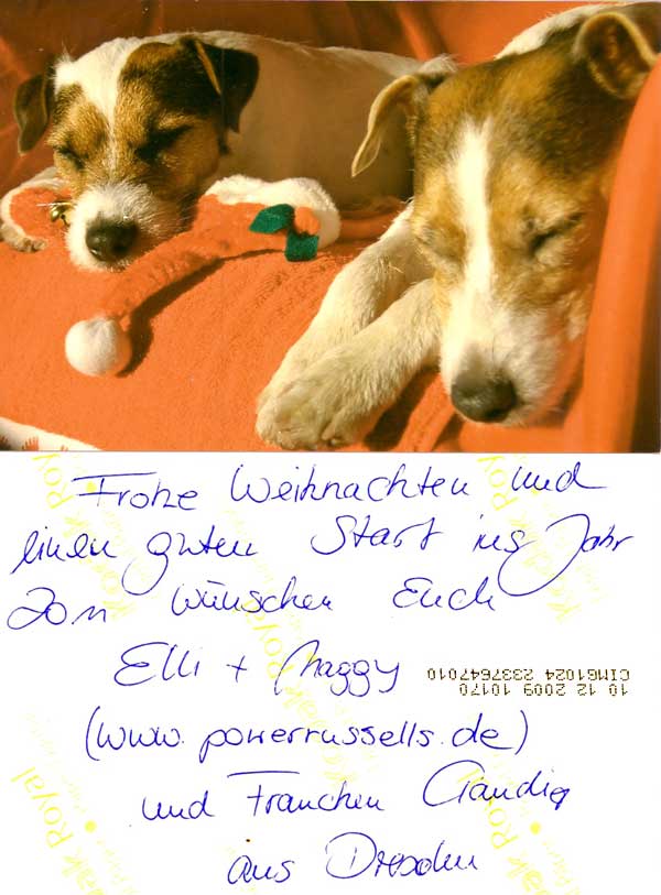 Weihnachtspaket aus Dresden