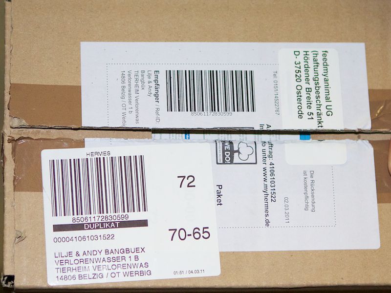 Lilje und Andy Bangbuex