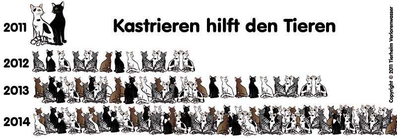 Kastrieren hilft den Tieren