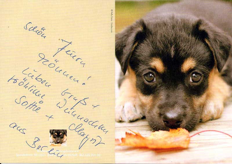 Scottie und sein Frauchen