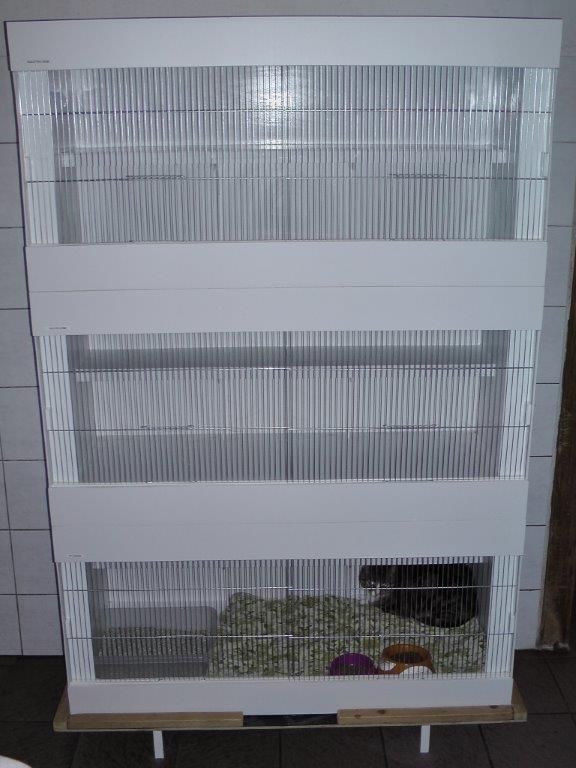 2018 - neue, größere Quarantäneboxen