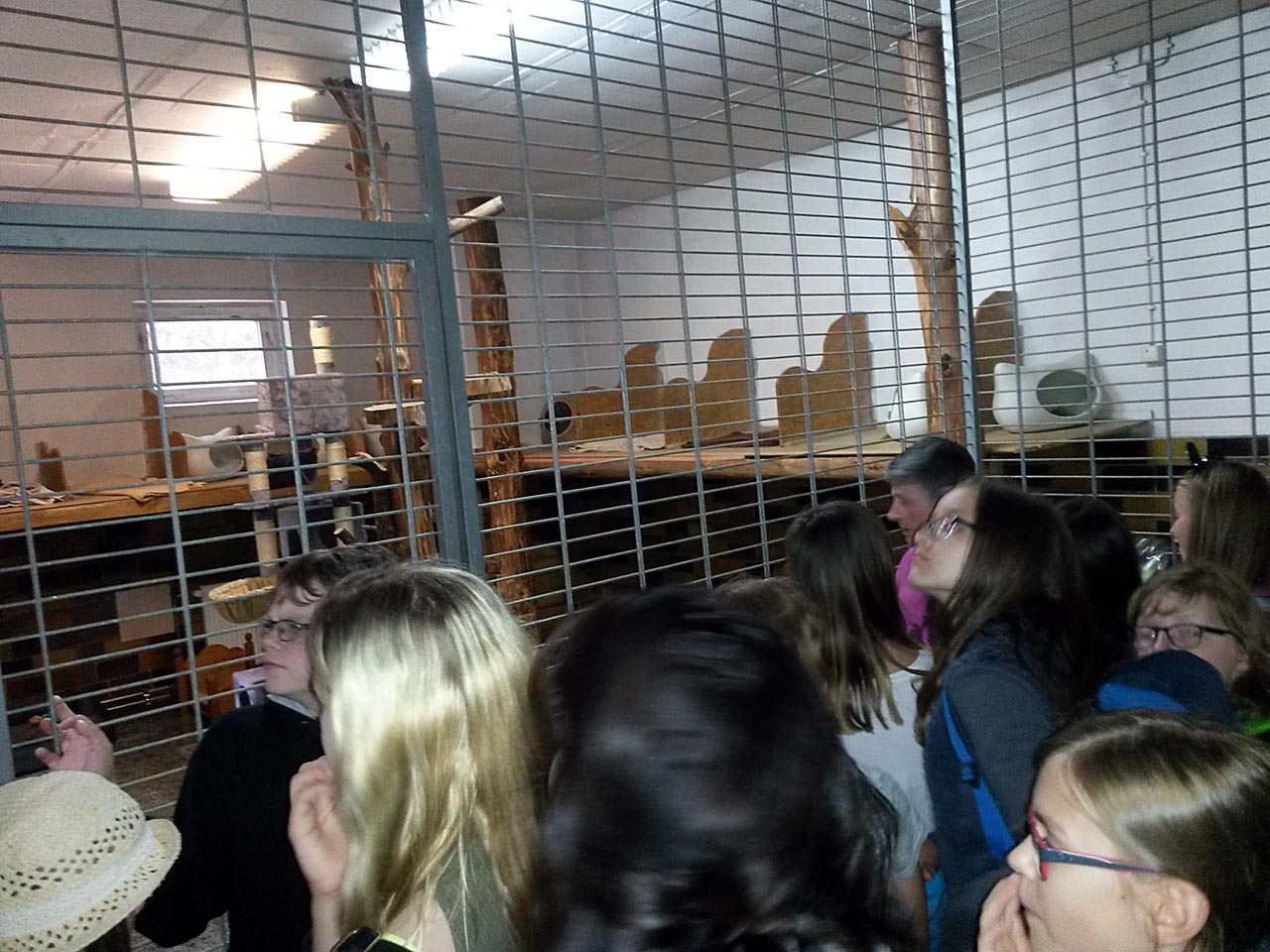 Schulklasse im Katzenhaus
