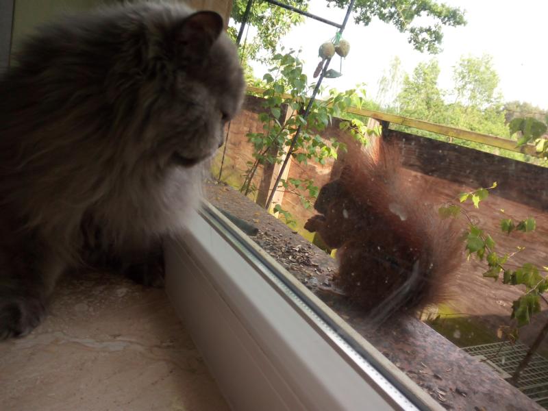 Schau mir in die Augen, Kleines!