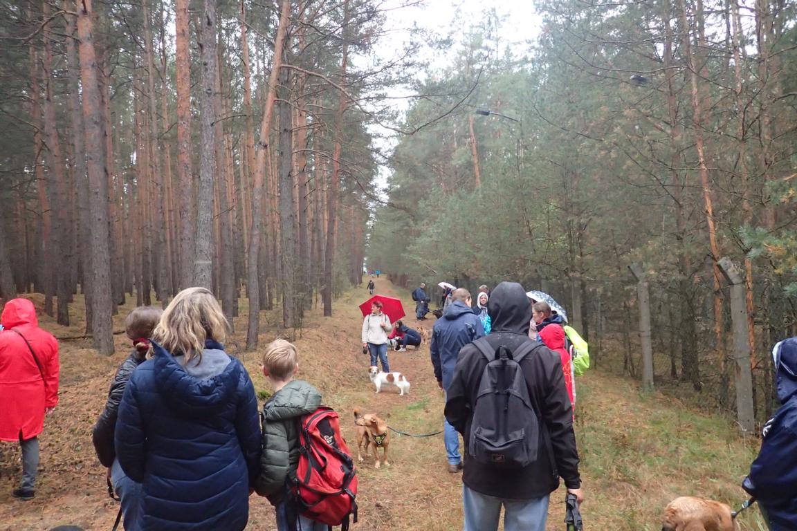 Nachlese Herbstwanderung 2019