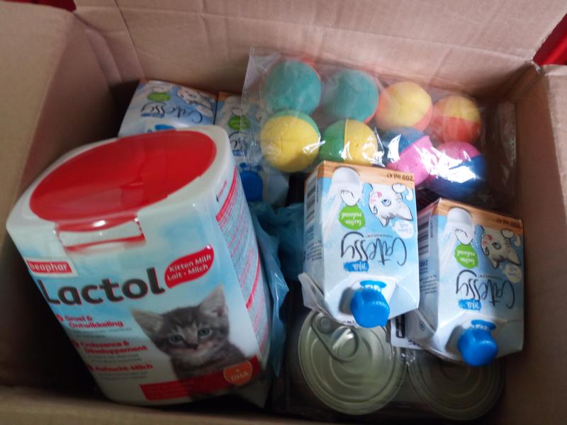 Ganzjährig Weihnachten