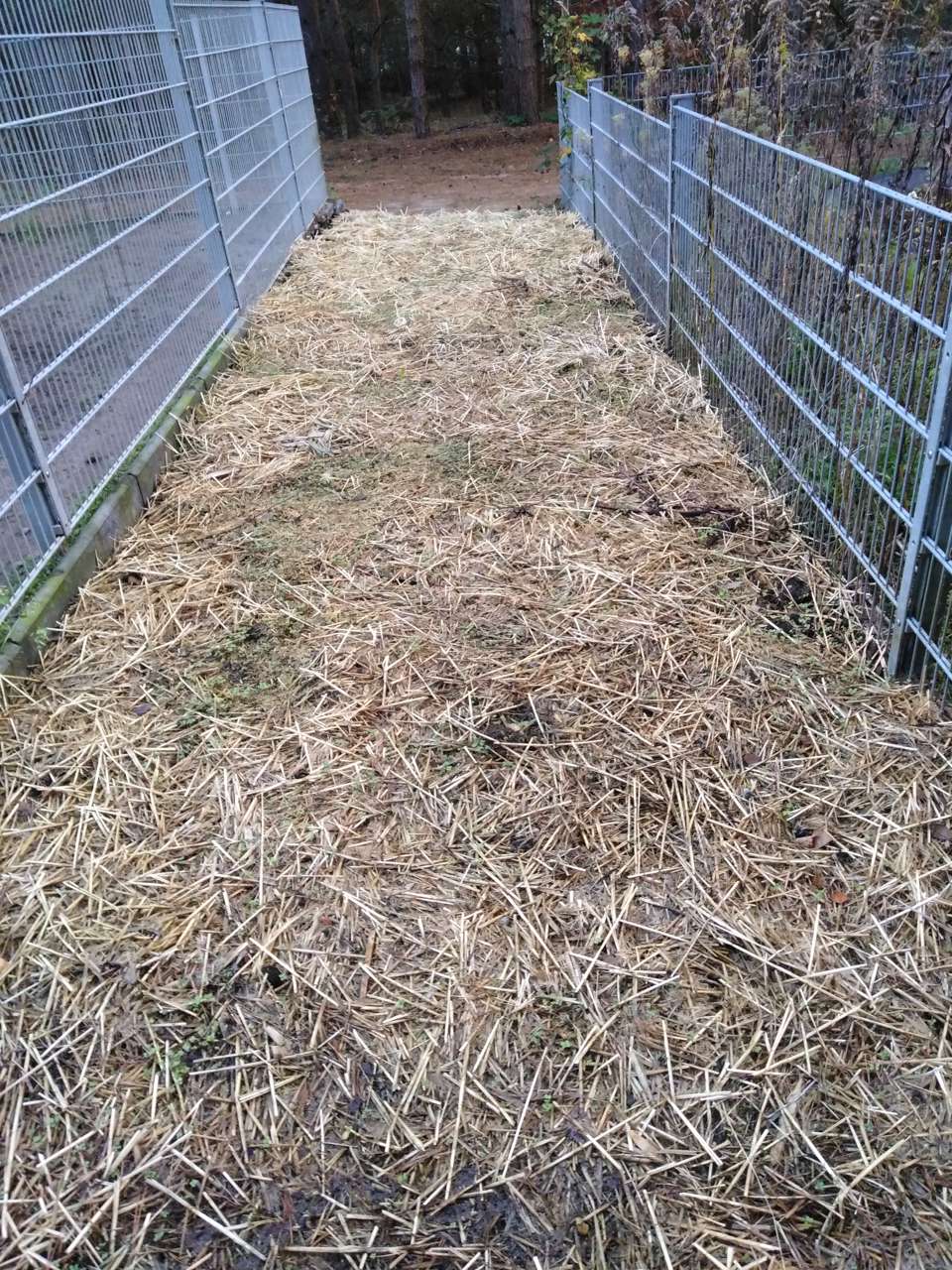 Ein Natur-Experiment