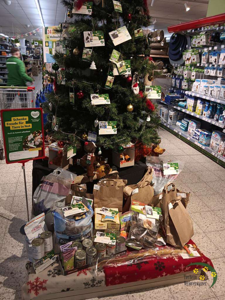 Wir durften schon abholen