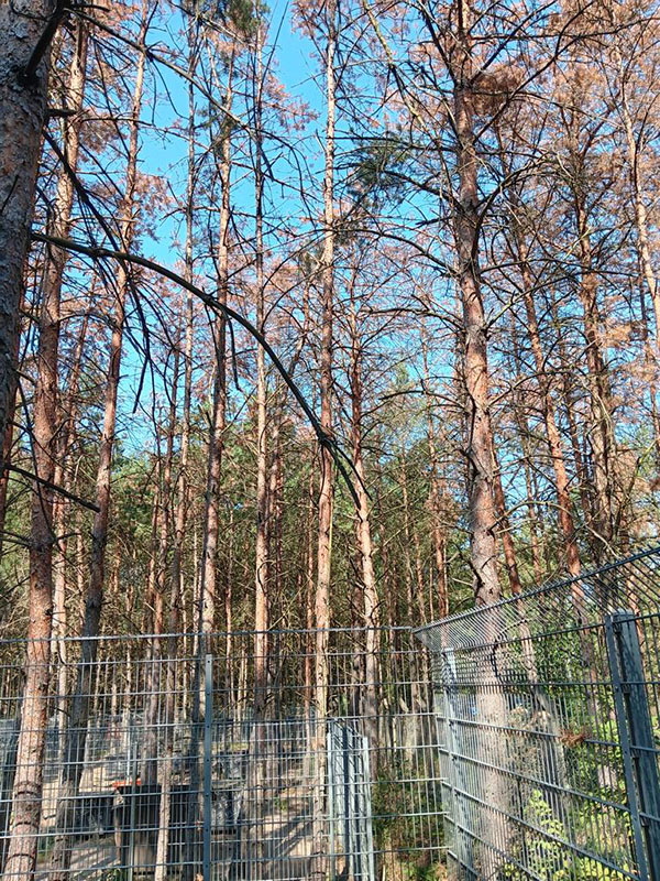 tierheim braucht hilfe