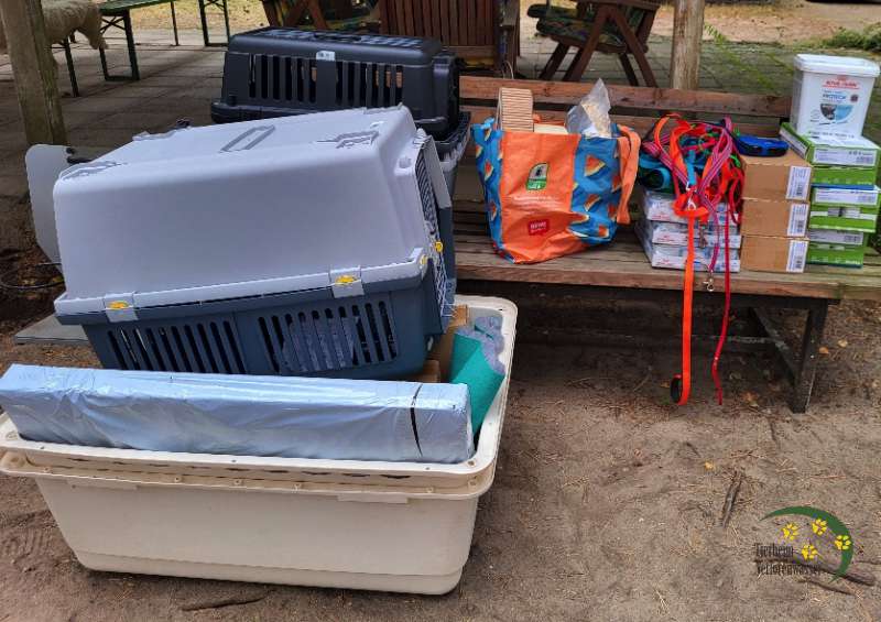 Dankesgrüße nach Potsdam