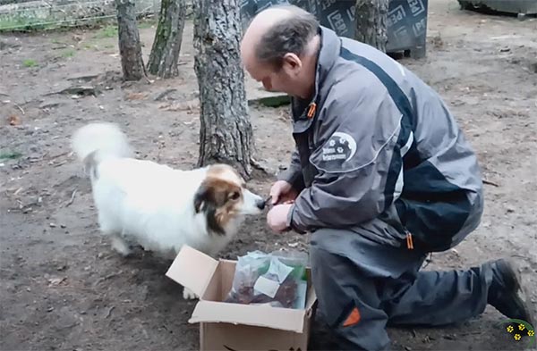 weihnachtspaket fuer hund charly