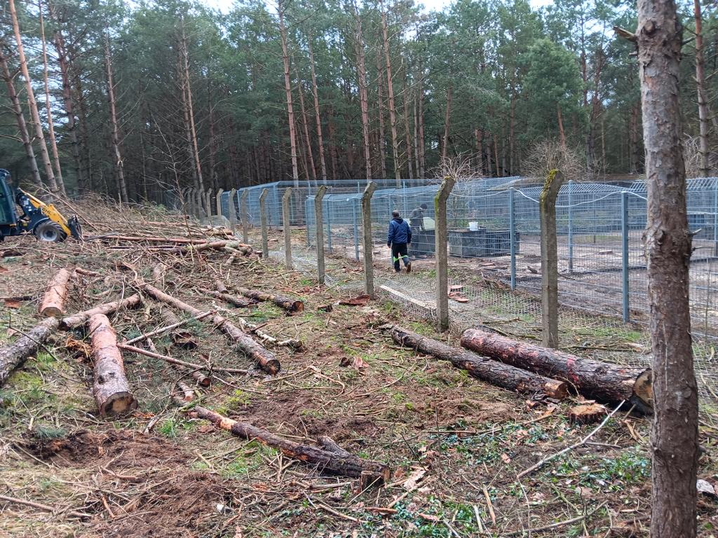 Baumarbeiten Tierheim Verlorenwasser
