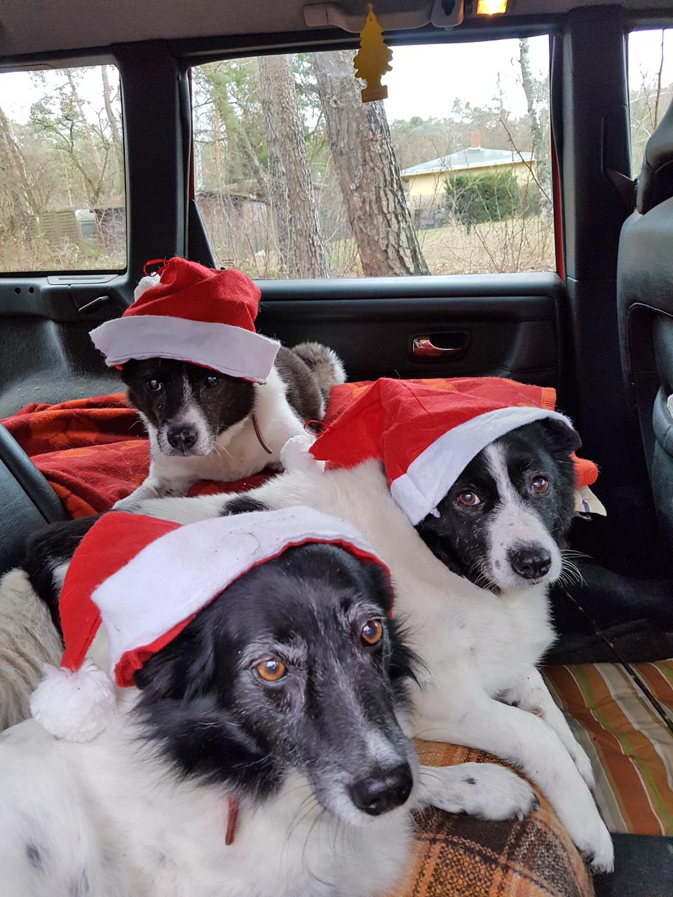 July, Juno und Melinda