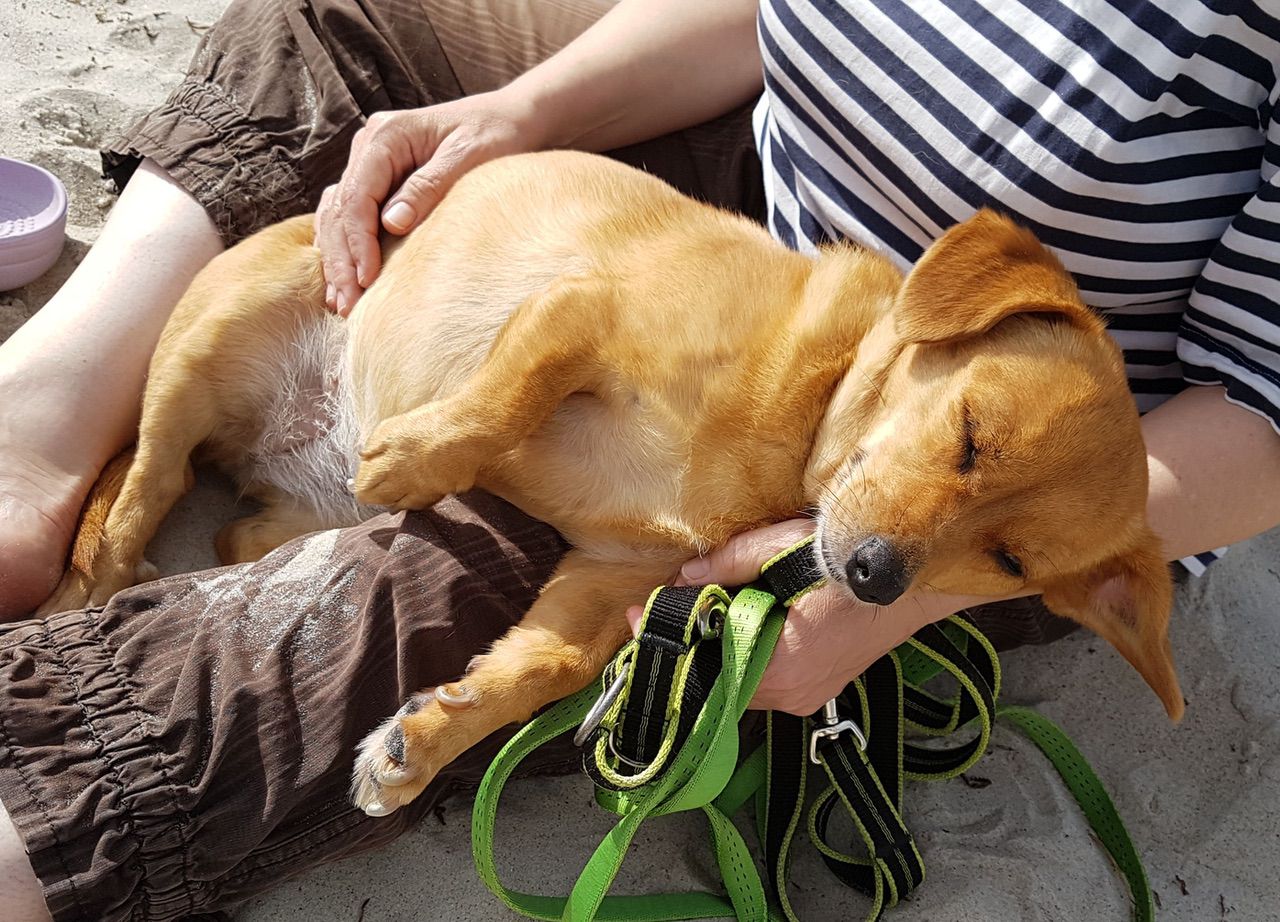 Urlaubsgrüße von Rügen