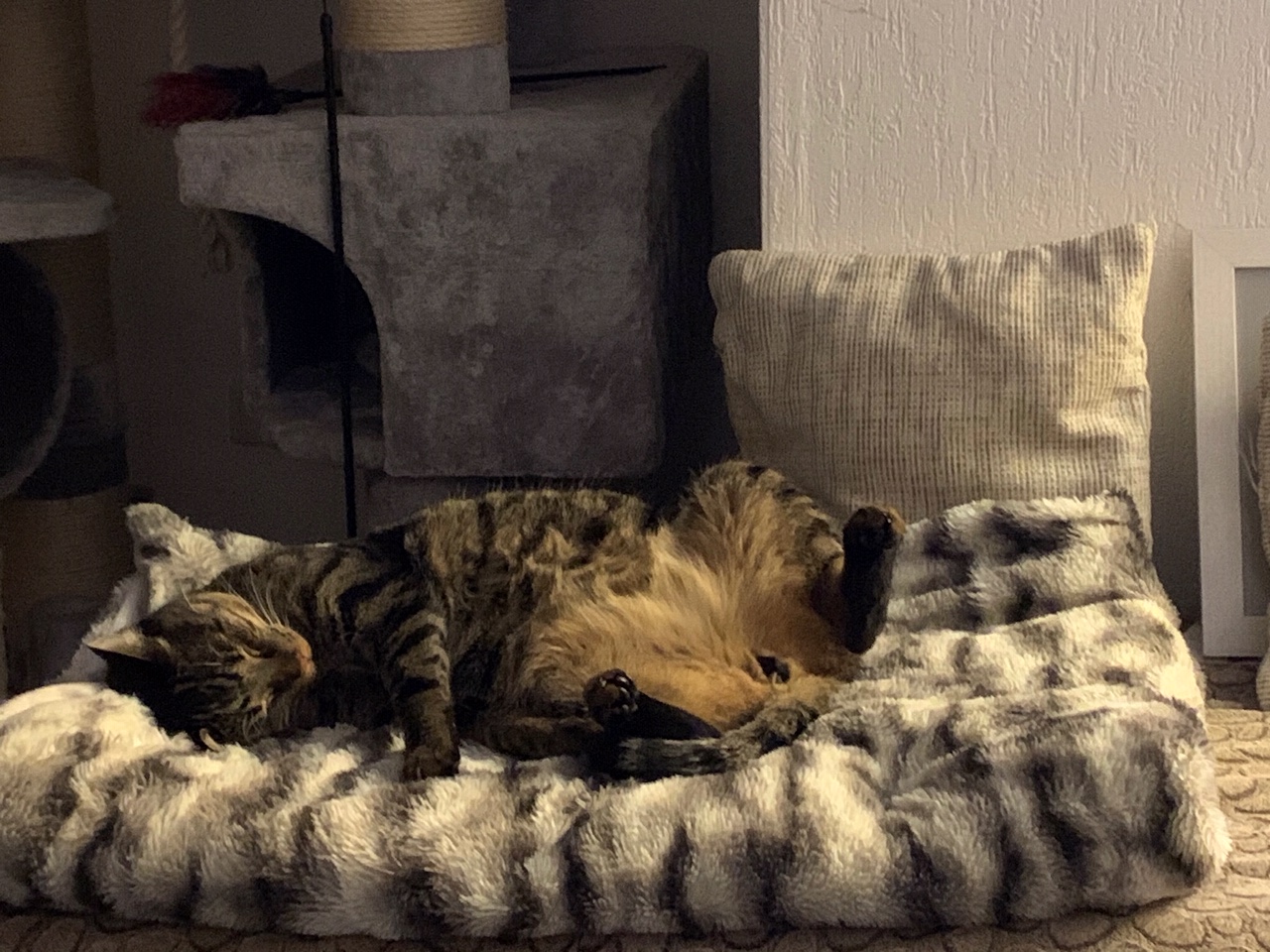 Winnie Puh und Tigger