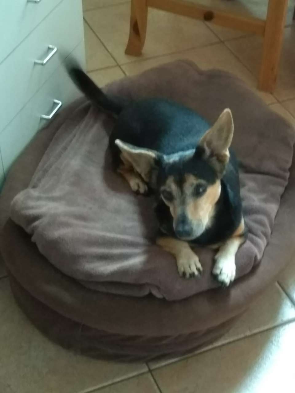 Ella