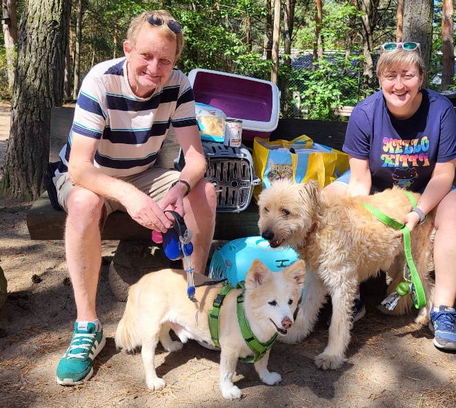 tierheim hunde brandenburg