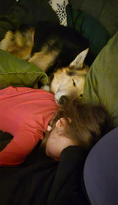 Lyson Hund aus tierheim 1