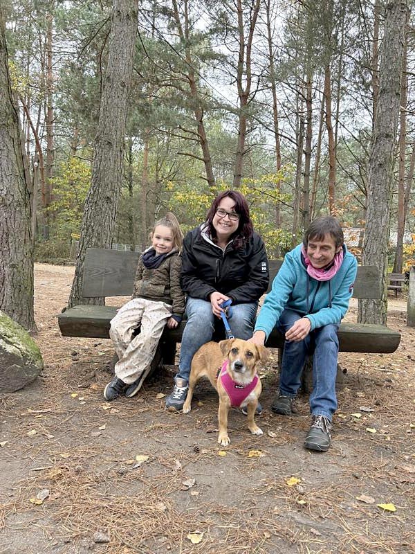 hund inca aus dem Tierheim