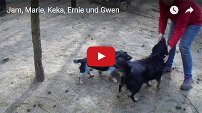 Jam Marie Keka Ernie Gwen